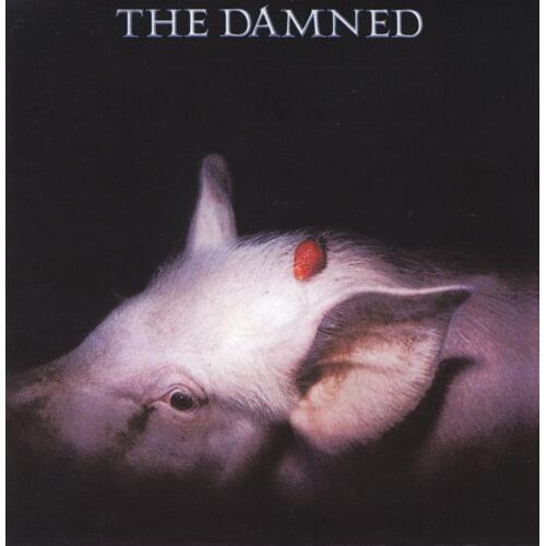 The Damned Strawberries (LP)